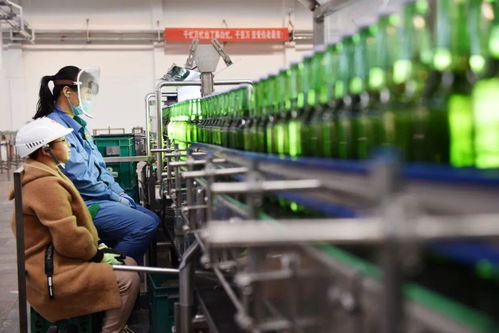 青岛啤酒 苦待第二春的挑战与机遇